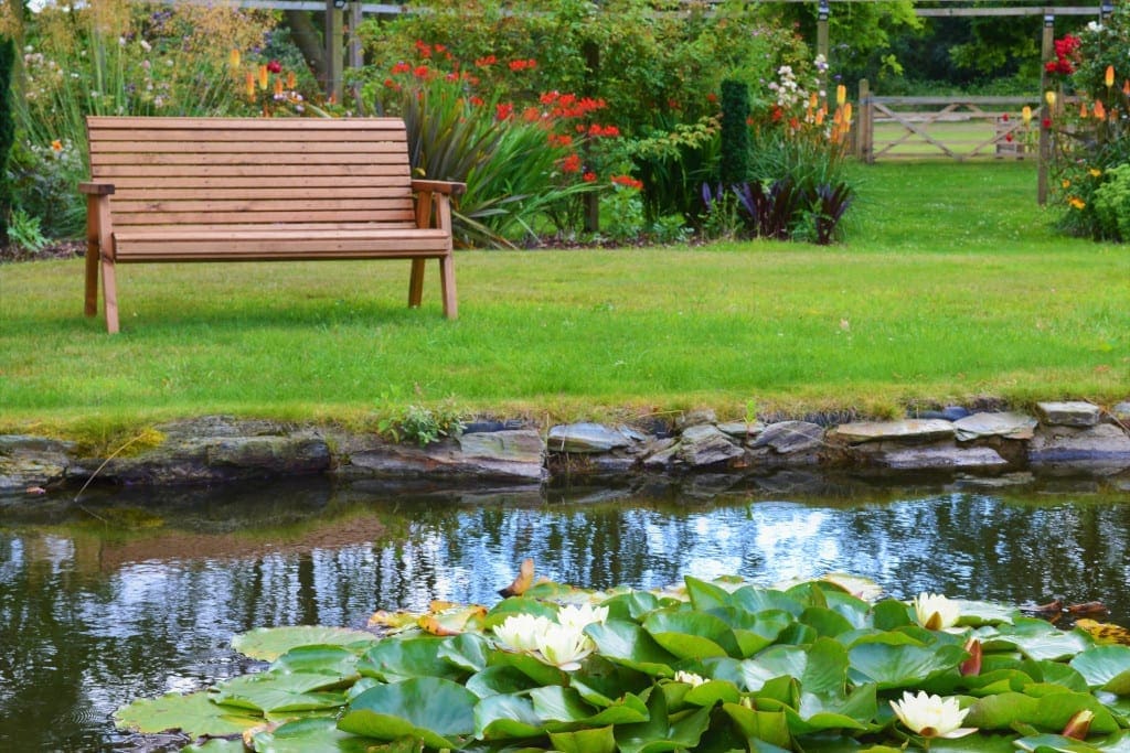 A Spot in The sun by the pond