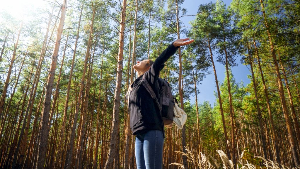 What is forest bathing